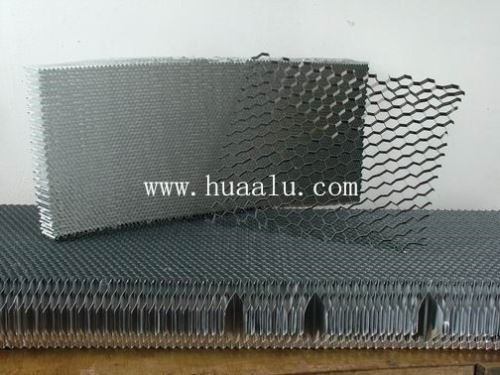 Korinio tinklelio lakštas